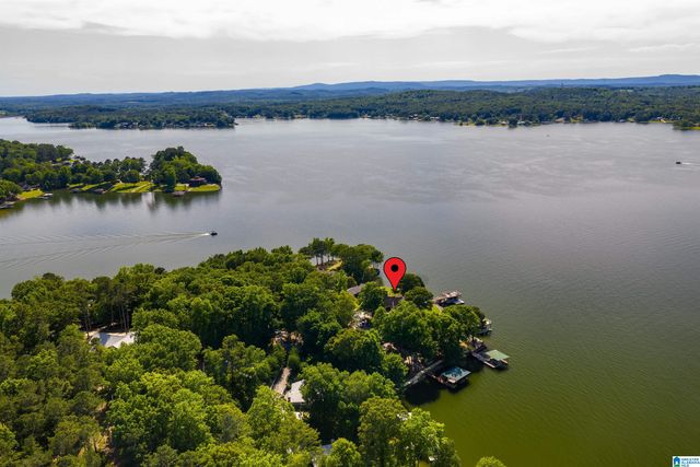 378 LAKEVIEW CIRCLE, Alpine, AL 35014