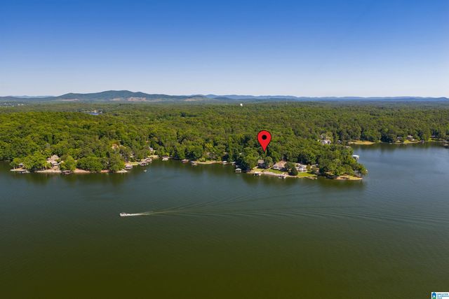 378 LAKEVIEW CIRCLE, Alpine, AL 35014