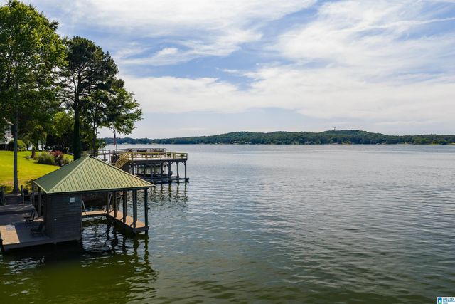 378 LAKEVIEW CIRCLE, Alpine, AL 35014