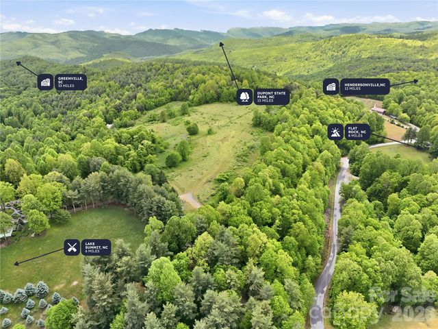 4105 Pinnacle Mountain Road, Zirconia, NC 28790