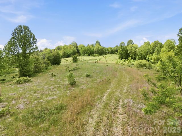 4105 Pinnacle Mountain Road, Zirconia, NC 28790