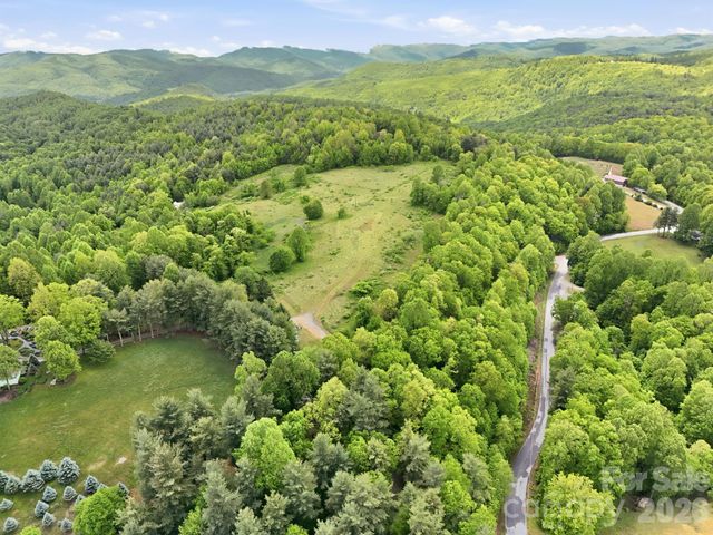 4105 Pinnacle Mountain Road, Zirconia, NC 28790