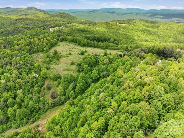 4105 Pinnacle Mountain Road, Zirconia, NC 28790