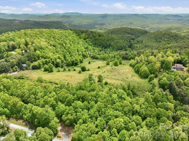 4105 Pinnacle Mountain Road, Zirconia, NC 28790