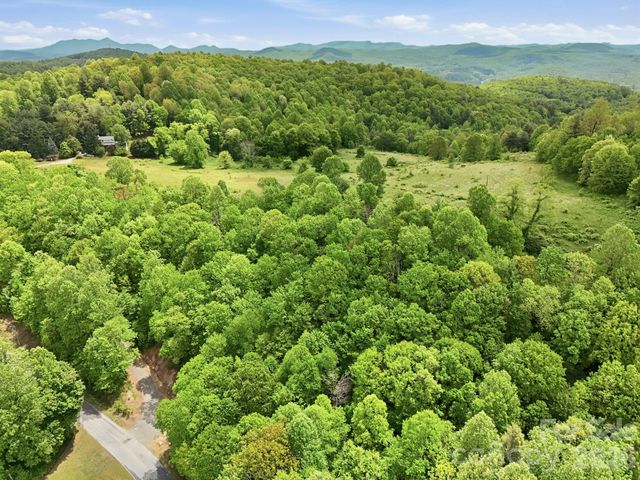4105 Pinnacle Mountain Road, Zirconia, NC 28790
