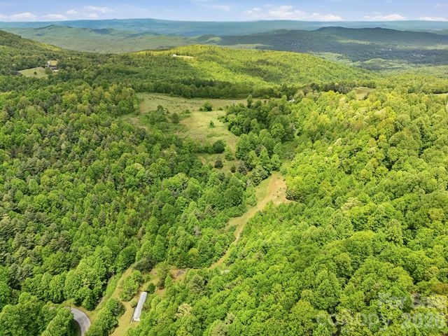 4105 Pinnacle Mountain Road, Zirconia, NC 28790