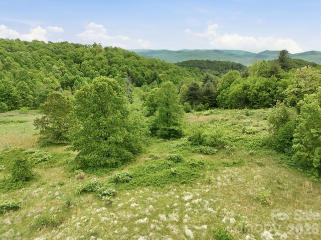 4105 Pinnacle Mountain Road, Zirconia, NC 28790