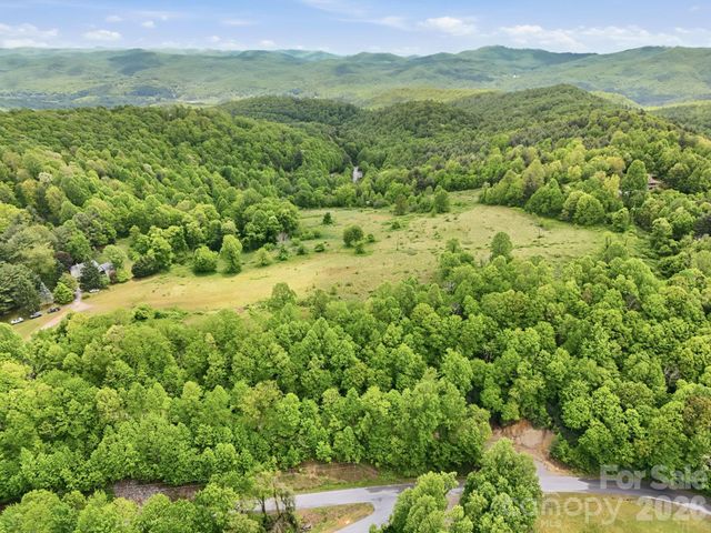 4105 Pinnacle Mountain Road, Zirconia, NC 28790