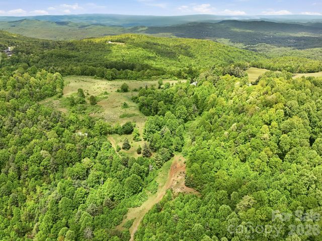 4105 Pinnacle Mountain Road, Zirconia, NC 28790