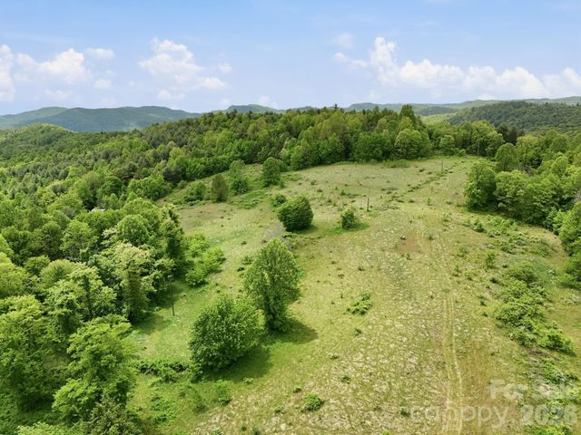 4105 Pinnacle Mountain Road, Zirconia, NC 28790