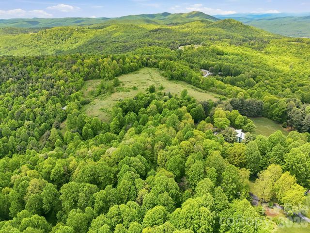 4105 Pinnacle Mountain Road, Zirconia, NC 28790