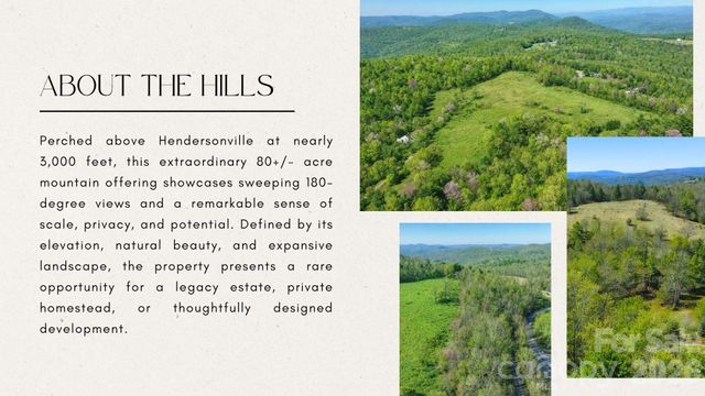 4105 Pinnacle Mountain Road, Zirconia, NC 28790