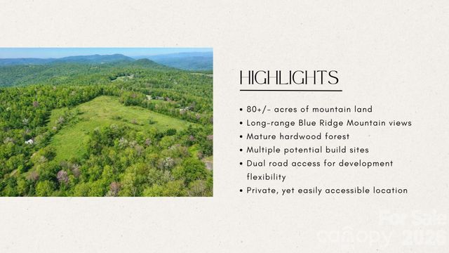 4105 Pinnacle Mountain Road, Zirconia, NC 28790