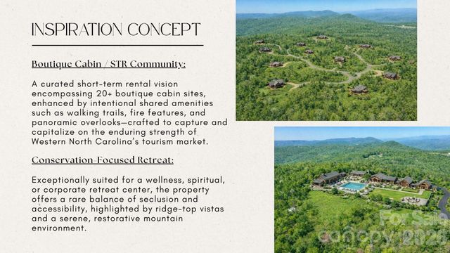 4105 Pinnacle Mountain Road, Zirconia, NC 28790