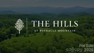 4105 Pinnacle Mountain Road, Zirconia, NC 28790