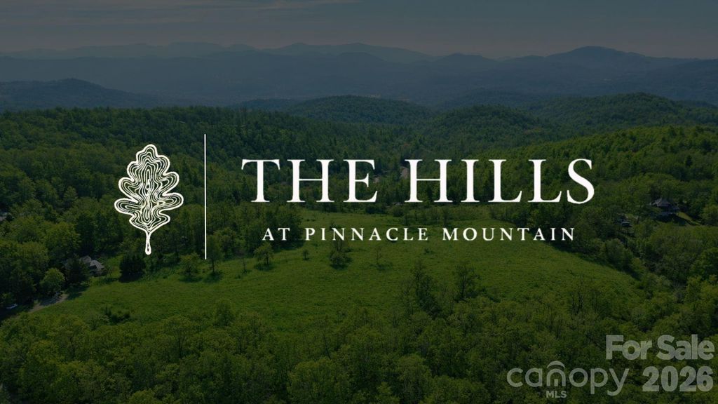 4105 Pinnacle Mountain Road, Zirconia, NC 28790