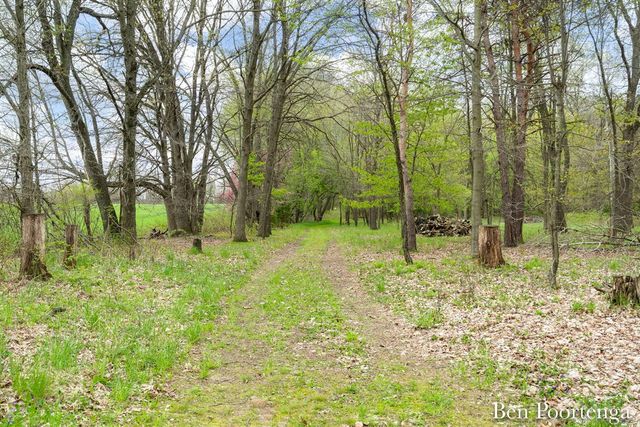 10299 Fisk Road, Belding, MI 48809