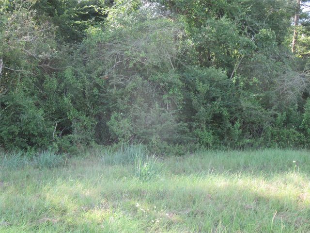 TBD Hwy 190 E, Point Blank, TX 77364