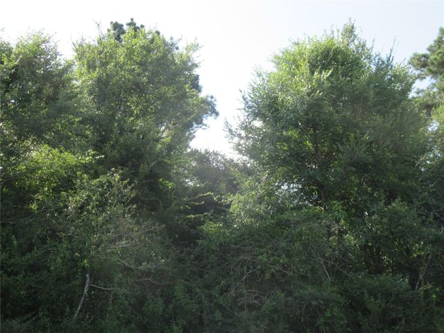 TBD Hwy 190 E, Point Blank, TX 77364