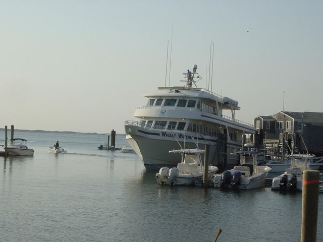 57 Suffolk Avenue, Hyannis, MA 02601