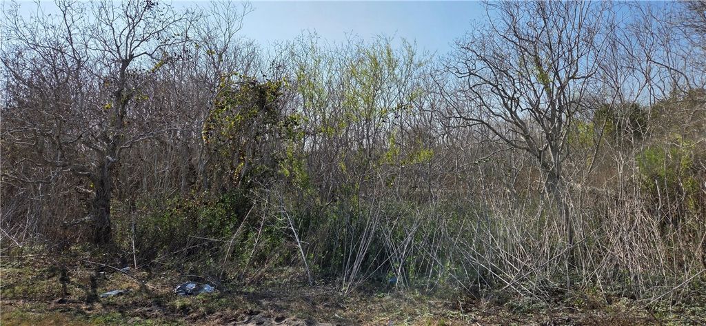 2515-C Monkey, Rockport, TX 78382 — photo 4