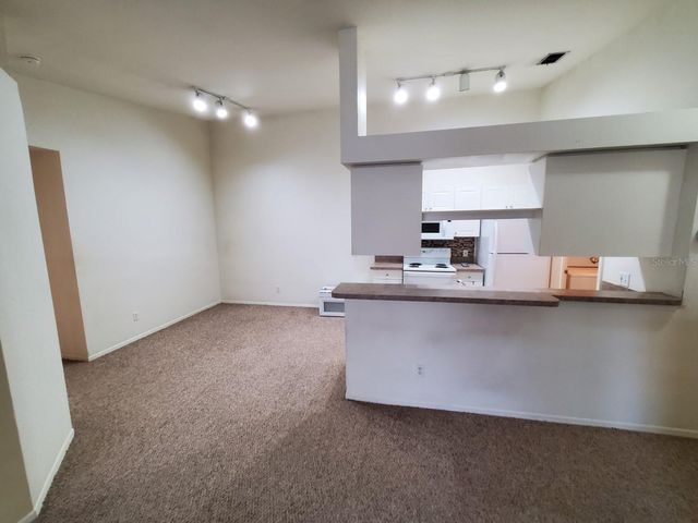 5903 WILLOW RIDGE DRIVE 203, Zephyrhills, FL 33541