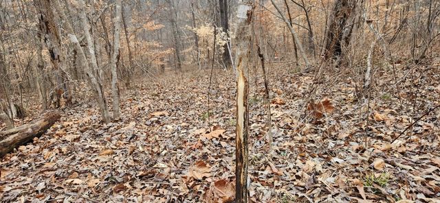 5849 Catholic Church Rd, Cedar Hill, TN 37032