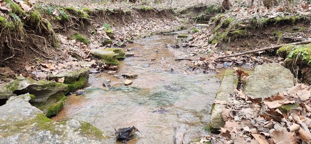 5849 Catholic Church Rd, Cedar Hill, TN 37032