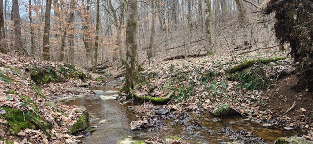 5849 Catholic Church Rd, Cedar Hill, TN 37032