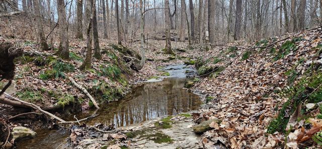 5849 Catholic Church Rd, Cedar Hill, TN 37032