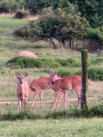 5849 Catholic Church Rd, Cedar Hill, TN 37032