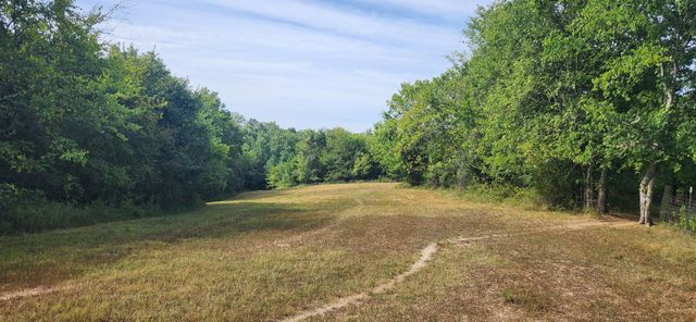 5849 Catholic Church Rd, Cedar Hill, TN 37032