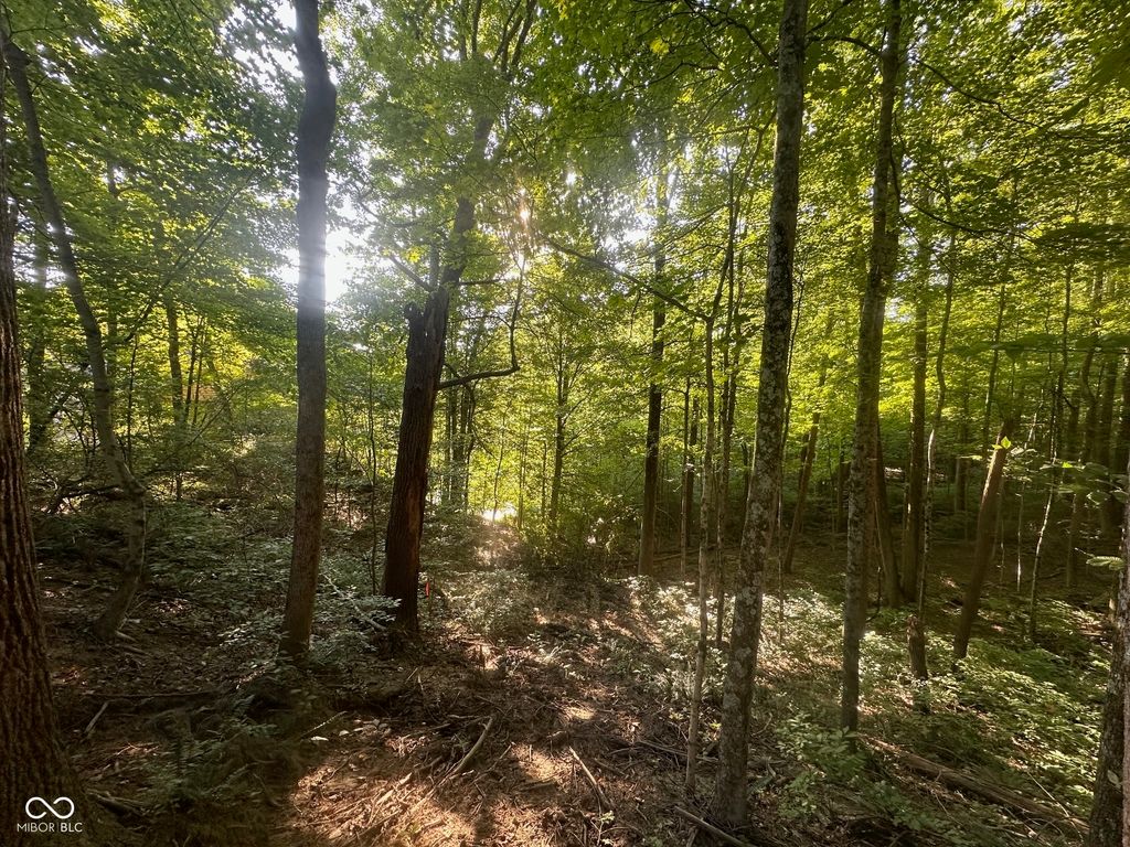 0000 N Country Club Road, Martinsville, IN 46151