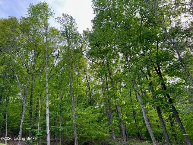 373 Green Valley Dr, Lebanon Junction, KY 40150