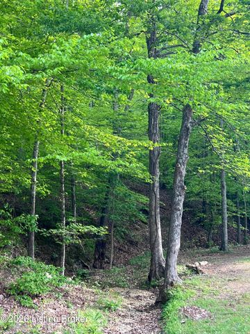 373 Green Valley Dr, Lebanon Junction, KY 40150