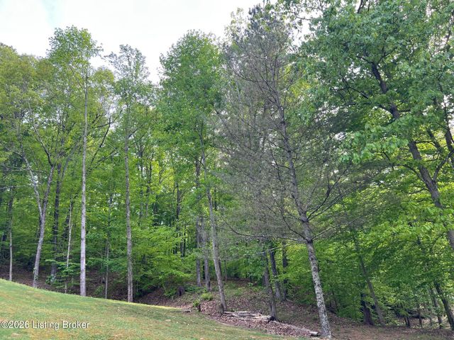373 Green Valley Dr, Lebanon Junction, KY 40150