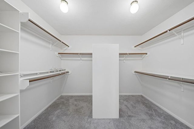 20223 Chelsea Canyon Court, Katy, TX 77450