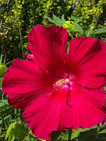 1936 River View Drive, Janesville, WI 53546