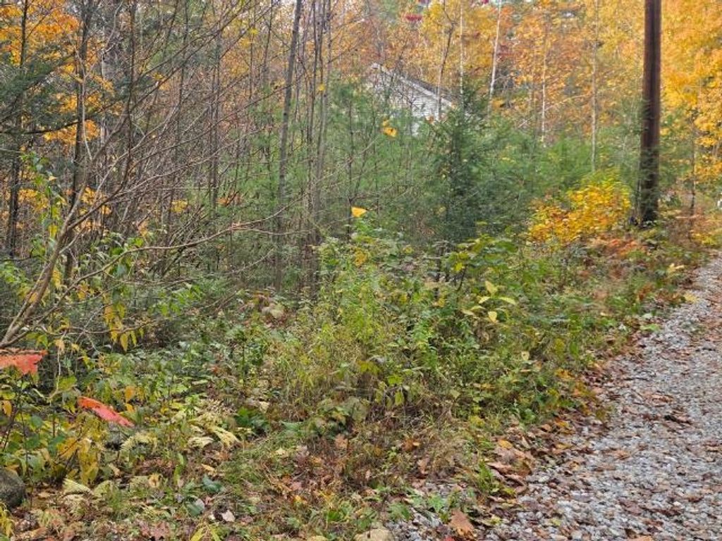 44 Huntington Drive, Hillsborough, NH 03244