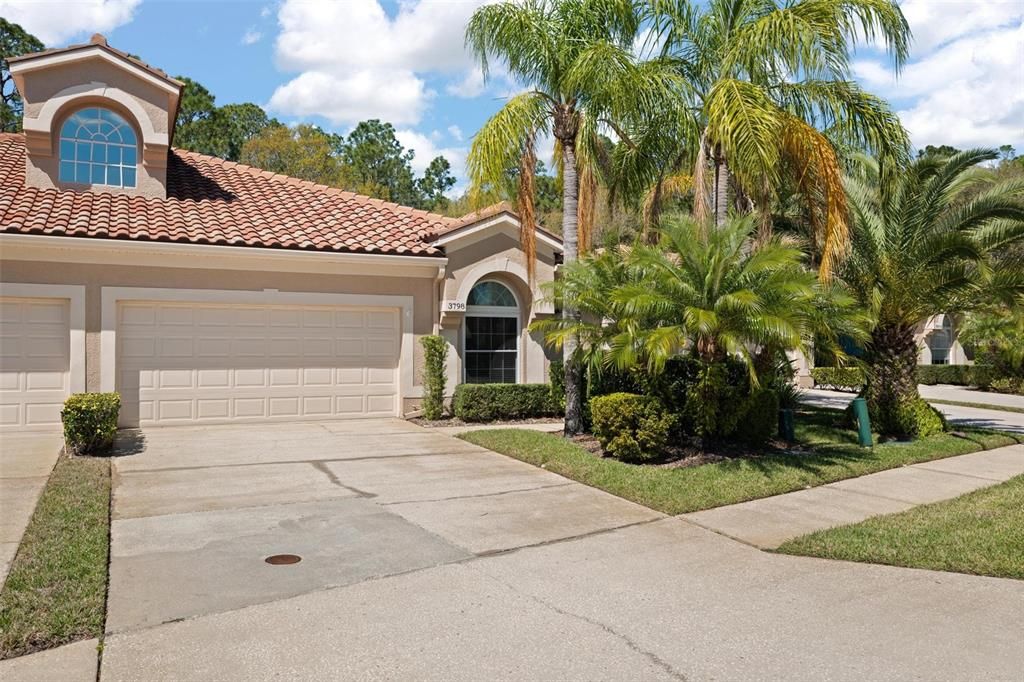 3798 DARSTON STREET, Palm Harbor, FL 34685
