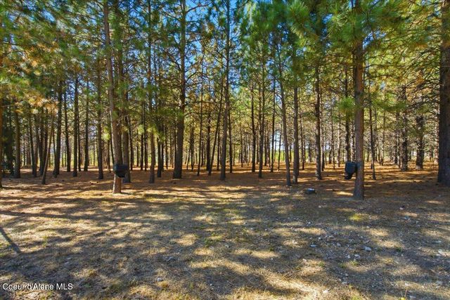 31288 N Sienna Loop, Athol, ID 83801