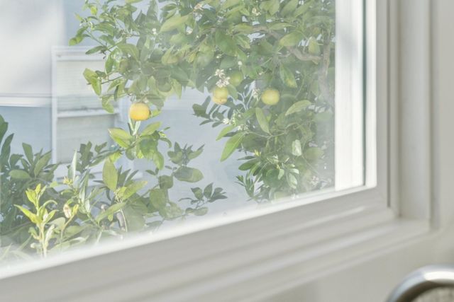 1328 Marin Ave, Albany, CA 94706