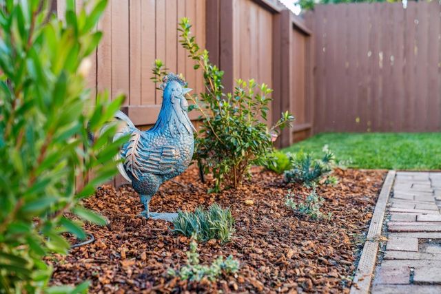 1328 Marin Ave, Albany, CA 94706