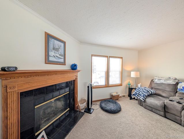11242 Nearbrook Court, Green Oak Township, MI 48178