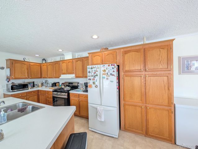 11242 Nearbrook Court, Green Oak Township, MI 48178
