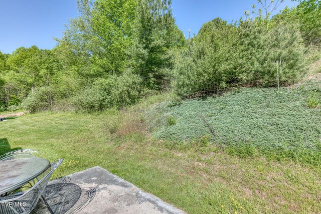 355 Robinson Hollow Lane, Mountain City, TN 37683