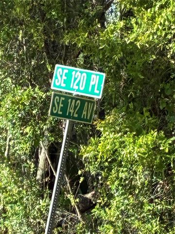 SE 142ND AVE AND SE 120TH PL, Ocklawaha, FL 32179