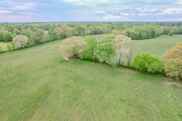 0 Puncheon Branch, Minor Hill, TN 38473