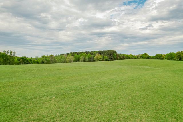 0 Puncheon Branch, Minor Hill, TN 38473