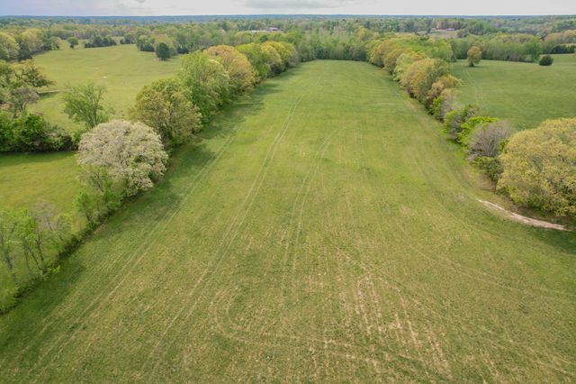 0 Puncheon Branch, Minor Hill, TN 38473